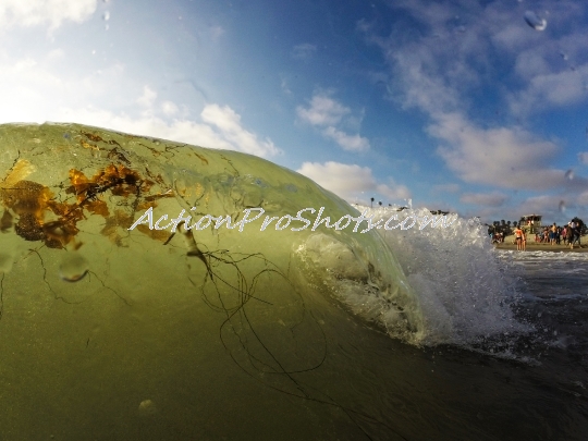 Mini Seaweed Barrel