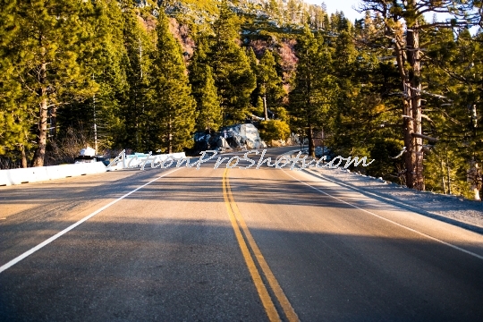 Snowy Road